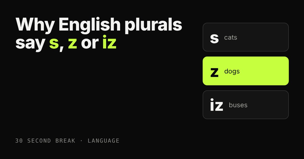 Three cards reading s cats, z dogs and iz buses beside the title, with z highlighted in lime