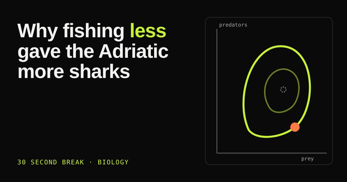 Two looping green curves on a predator-prey graph, with an orange dot tracing the larger loop
