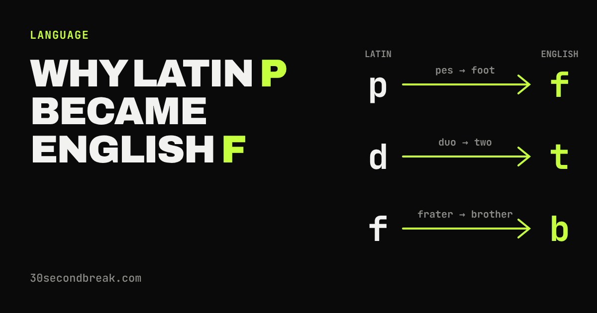 Three arrows showing Latin letters p, d and f turning into English f, t and b, with the example words pes to foot, duo to two and frater to brother